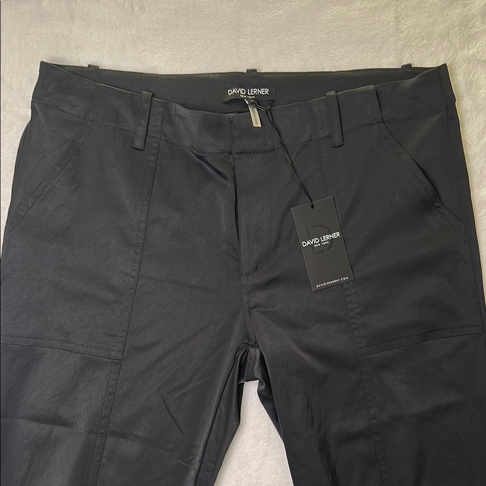 David Lerner Jogger